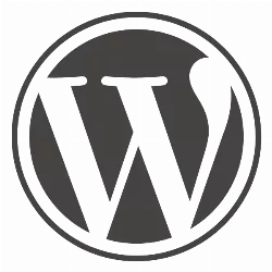 Formation Wordpress, initiation à la création d'un site professionnel